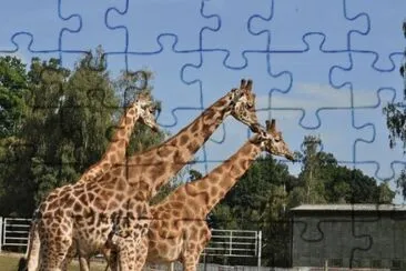 MARSU jigsaw puzzle