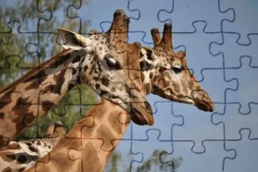 MARSU jigsaw puzzle