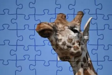 MARSU jigsaw puzzle