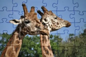 MARSU jigsaw puzzle