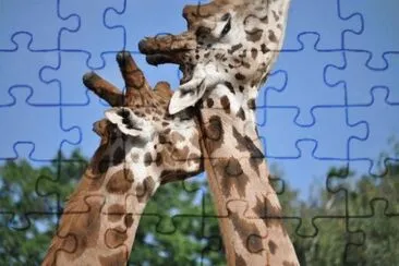 MARSU jigsaw puzzle