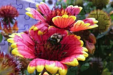 Bee at work jigsaw puzzle