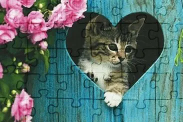 image jigsaw puzzle