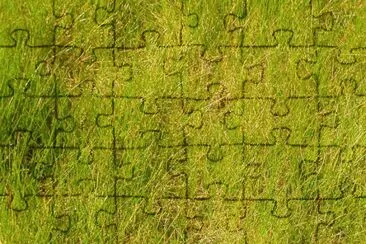 MARSU jigsaw puzzle