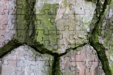 MARSU jigsaw puzzle