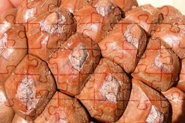 MARSU jigsaw puzzle