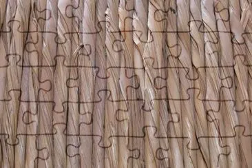 פאזל של MARSU