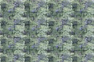 MARSU jigsaw puzzle