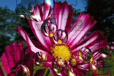 Flors jigsaw puzzle