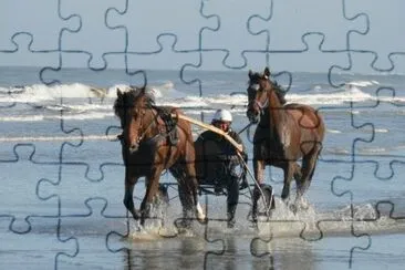 MARSU jigsaw puzzle