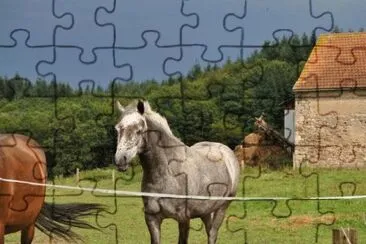 MARSU jigsaw puzzle