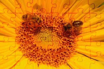 MARSU jigsaw puzzle