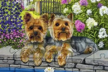 image jigsaw puzzle
