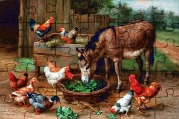 animais