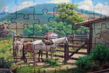 cavalos