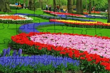 flores jigsaw puzzle