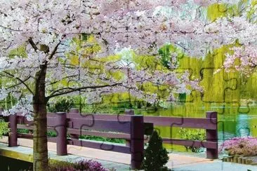 natureza jigsaw puzzle
