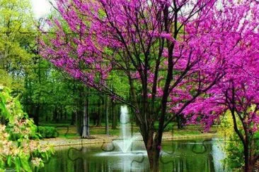 natureza