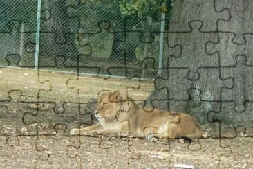 MARSU jigsaw puzzle