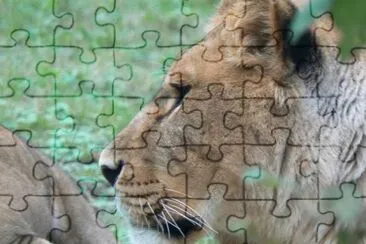 MARSU jigsaw puzzle