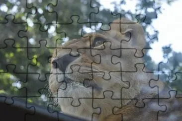 MARSU jigsaw puzzle
