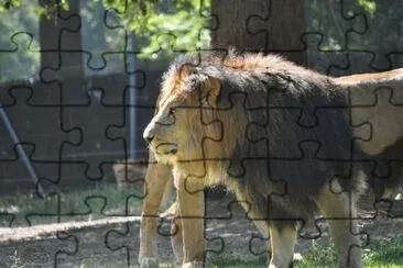 MARSU jigsaw puzzle