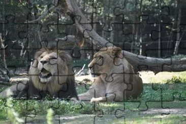 MARSU jigsaw puzzle