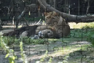 MARSU jigsaw puzzle