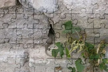 פאזל של MARSU