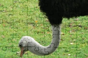 MARSU jigsaw puzzle