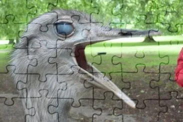 MARSU jigsaw puzzle