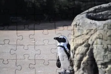 MARSU jigsaw puzzle