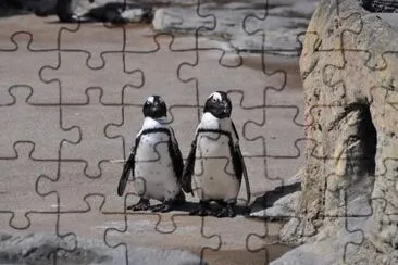 MARSU jigsaw puzzle