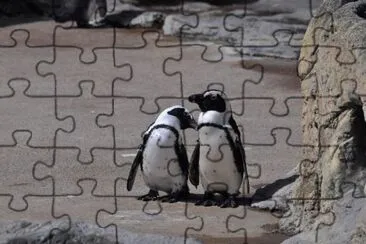 MARSU jigsaw puzzle
