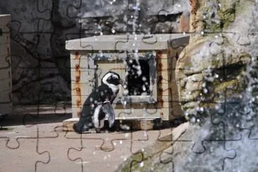 MARSU jigsaw puzzle