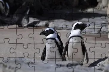 MARSU jigsaw puzzle