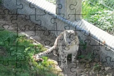 MARSU jigsaw puzzle