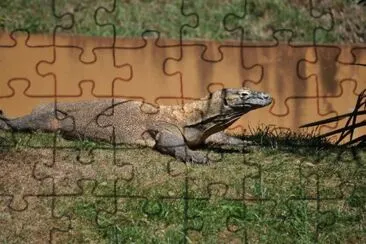 MARSU jigsaw puzzle