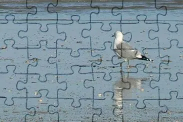 MARSU jigsaw puzzle