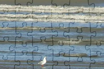 MARSU jigsaw puzzle