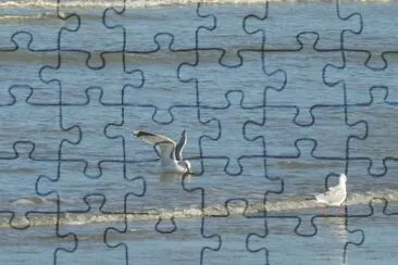 MARSU jigsaw puzzle