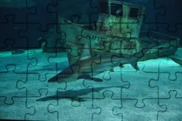 MARSU jigsaw puzzle