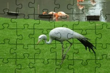 MARSU jigsaw puzzle