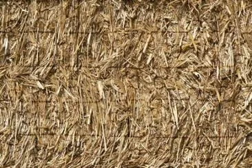 MARSU jigsaw puzzle