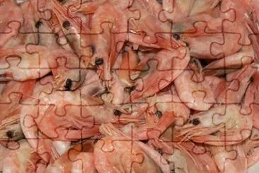 MARSU jigsaw puzzle