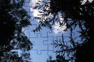 MARSU jigsaw puzzle