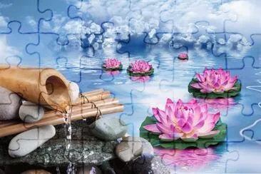 Lily pond flow jigsaw puzzle