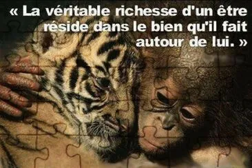 citation
