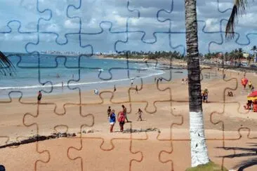 Praia de ItapuÃ£ jigsaw puzzle
