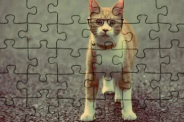 cat jigsaw puzzle